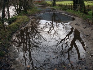 3026011996_2a3e75285f